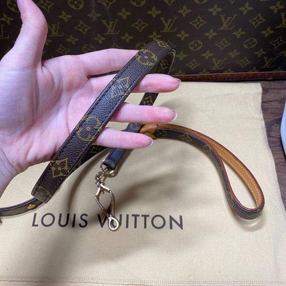 Louis Vuitton leash - Picture 16 of 16
